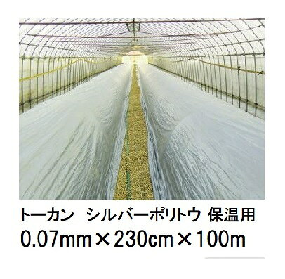 楽天市場】シルバーポリトウの通販