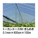 トーカンエースNH きらめき (厚0.1mm×幅400cm×長100m) (原反巻姿 シングル巻) 多層構造 農POフィルム 東罐興産 (法人/運送会社営業所止め 選択)