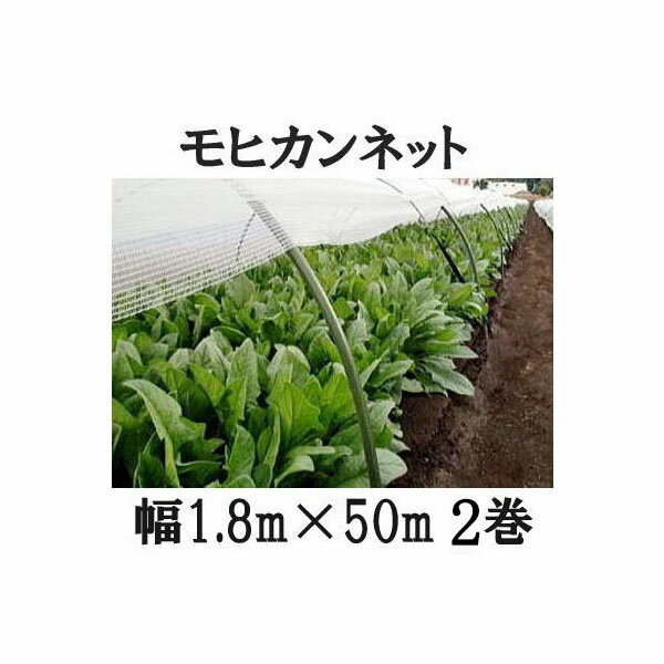 [11％OFF！6/1限定クーポン]防風ネット 農業用 網 ネット 6mm目 サイズオーダー ～200cm×～400cm ブルー 青 ワイドラッセル 防風網 田 畑 農家 農業 園芸 家庭菜園 アグリ agri 遮光 保温 耐久性 日本製 JQ