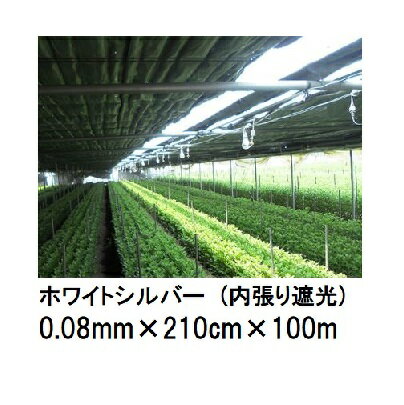 トーカン ホワイトシルバー (内張り遮光用) (厚0.08mm×幅210cm×長100m) (原反巻姿 シングル巻き) 東罐興産 (法人/運送会社営業所止め 選択)