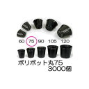 (徳用3000個入) ポリポット 7.5cm ポリ鉢 (スベールポット) 黒丸 75 底穴1 口径75mm×高さ68mm 中部農材 zs
