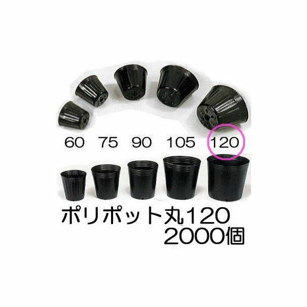 沖縄・離島への送料はお見積りになります。 材質 ポリエチレン　12cm　2000個入特価。 スベールポットは、ソフトタッチで滑り易く作業性に優れています。 底面部に突起が有るのでポリ鉢が浮き、上部リブに縦線を入れる事により溝に食い込みにくく取り易い形状になっています。 6cmより30.5cmまでサイズが豊富なので、用途に合わせて使い分けが出来ます。 穴無しタイプ（切り花輸送、水生植物生産・生育等）も製造可能です。（受注生産） 180・210・240・270・305は通称【とびだしポット】となります。 （上部リブと底面に取り易い加工がしてあります）ポリポット 黒丸 数量クリックで各ページへ移動します。 品名 数量 穴数 高さ（mm） 容積（cc） 黒丸　60 3,000 底1ヶ 54 110 6,000 黒丸　75 3,000 68 200 6,000 黒丸　80 2,500 70 250 5,000 黒丸　90 2,000 77 350 4,000 黒丸　105 1,500 90 550 3,000 黒丸　120 1,000 98 770 2,000 黒丸　135 1,000 114 1,050 黒丸　150 1,000 125 1,500 黒丸　165 800 137 2,000 黒丸　180 800 150 2,850 黒丸　210 400 カド穴4ヶ 210 5,250 黒丸　240 100 240 8,300 黒丸　270 100 270 11,000 黒丸　305 50 305 17,000