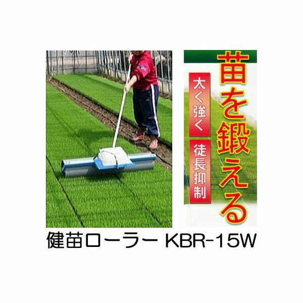 楽天市場】健苗ローラーの通販