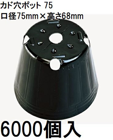 乐天商城 - (6000個入) ポリポット ポリ鉢 カド穴ポット (加工品) 7.5cm カド穴黒丸 75 カド穴4 底穴1 容積200cc 中部農材 |法人個人選択