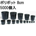 (5000個入特価) ポリポット 8cm ポリ鉢 丸型ポット 黒丸 80 底穴1 口径80mm×高さ70mm 中部農材