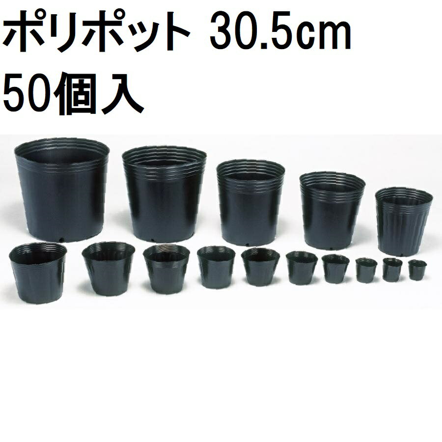 楽天市場】ポリポット 30.5cmの通販 楽天市場】ポリポット 30.5cmの通販