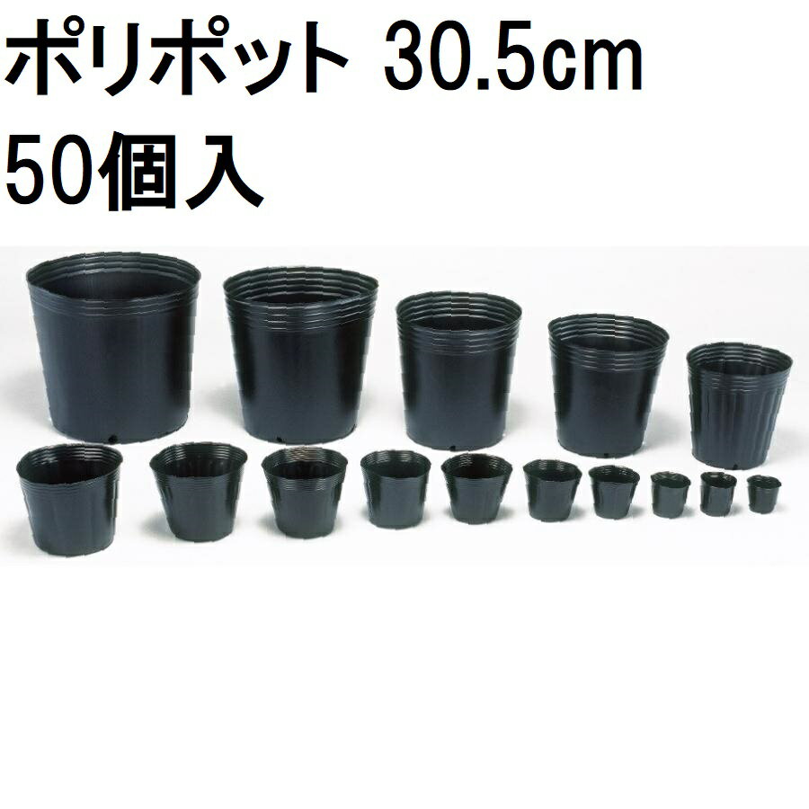 (SCGEHA) 水耕栽培 ポット 育苗 キット 鉢 スポンジ セット 黒 高さ55mm（30個）