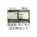 (200枚セット) 育苗箱 すくすく (中敷き不要) お届け先法人個人別