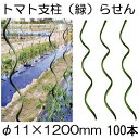(100本セット) トマト用螺旋支柱 φ11×1200mm トマト用支柱 らせん形 トマト支柱 ラセン シンセイ (法人個人 選択)