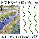 (50本セット) トマト用螺旋支柱 φ13×2100mm トマト用支柱 らせん形 トマト支柱 ラセン シンセイ (法人個人 選択)
