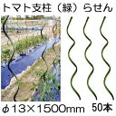 (50本セット) トマト用螺旋支柱 φ13×1500mm トマト用支柱 らせん形 トマト支柱 ラセン シンセイ (法人個人 選択)