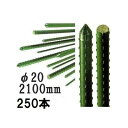 (250本セット) セキスイ イボ竹 (プロ仕様 業務用) 農業用支柱 φ20×2100mm 日本製 積水樹脂 (法人個人選択 4t車進入可能地域限定) 20×...