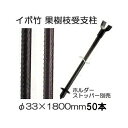 (50{Zbg ) ZLXC C{| (vdl Ɩp) _Ɨpx () 33.2~1800mm 33.2mm~1.8m 33mm~1800mm 33mm~1.8m{ ϐ (@llI)