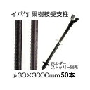 (50本セット特価) セキスイ イボ竹 (プロ仕様 業務用) 農業用支柱 (黒) φ33.2×3000mm日本製 積水樹脂 (法人個人選択) 33.2mm×3....