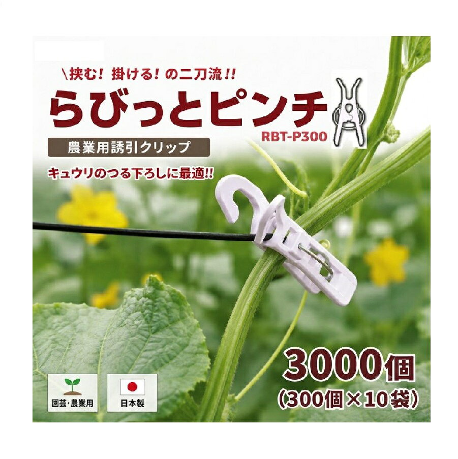 挟む・掛けるの二刀流！ シーム「らびっとピンチ RBT-P300」は、キュウリやトマトなどの誘引作業を効率化する農業用誘引クリップです。 ピンチで茎をやさしく挟み、フックで誘引線へ簡単に掛けられるため、誘引線への移動や位置調整がスムーズ。 キュウリのつる下ろし栽培をはじめ、施設園芸・ハウス栽培・家庭菜園まで幅広く活躍します。 ■ らびっとピンチの特長 ピンチで茎をしっかり保持 フックで誘引線へワンタッチ装着 誘引線に沿って横移動が簡単 茎が太くなっても食い込みにくい構造 UVカット剤配合で繰り返し使用可能 作業時間を短縮し、誘引作業を効率化 ■ キュウリのつる下ろしに最適 フックを利用することで誘引線への掛け替えが簡単に行えます。 栽培途中の高さ調整や横移動もスムーズにできるため、キュウリのつる下ろし栽培に最適です。 ■ 茎を傷めにくい設計 茎をやさしく保持しながらもしっかり固定。 生育によって茎が太くなっても食い込みにくい構造となっています。 ■ 繰り返し使えて経済的 耐候性ポリプロピレンにUVカット剤を配合。 屋外やハウス内でも劣化しにくく、繰り返し使用できます。 ■ 使用用途 キュウリのつる下ろし キュウリ誘引 トマト誘引 ナス誘引 ピーマン誘引 施設園芸 ハウス栽培 家庭菜園 ■ 商品仕様 商品名 らびっとピンチ 品番 RBT-P300 誘引線対応径 4mmまで サイズ 約73×31×10mm 材質 耐候性ポリプロピレン（UVカット剤配合） カラー 薄紫 内容量 3000個（300個×10袋） 製造国 日本 メーカー シーム株式会社 ■ ご使用上の注意 用途以外には使用しないでください。 無理な力を加えると破損する恐れがあります。 使用環境により劣化する場合がありますので、定期的に状態をご確認ください。