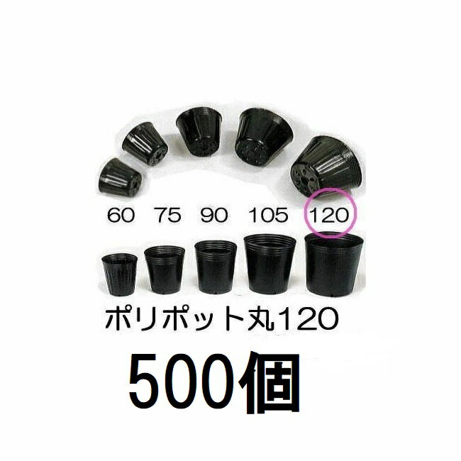 (500個入) ポリポット 12cm ポリ鉢 (スベールポット) 黒丸 120 底穴1 口径120mm×高さ98mm 中部農材　zs