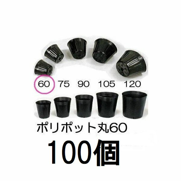 Rakuten - (100個セット) ポリポット 6cm ポリ鉢 丸型ポット 黒丸 60 底穴1 口径60mm×高さ54mm 中部農材 (佐川等orレターパック)　zs