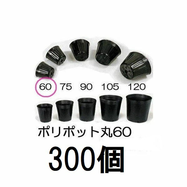 Rakuten - (300個セット) ポリポット 6cm ポリ鉢 丸型ポット 黒丸 60 底穴1 口径60mm×高さ54mm 中部農材 (佐川等orレターパック)　zs