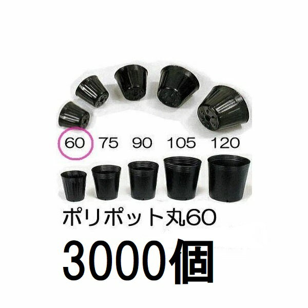 (徳用3000個入) ポリポット 6cm ポリ鉢 丸型ポット 黒丸 60 底穴1 口径60mm×高さ54mm 中部農材 zs