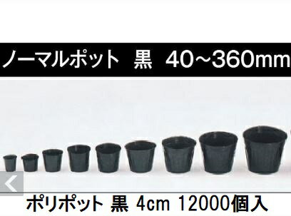 楽天市場】ポリポット 4cmの通販