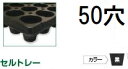 (徳用100枚入) 育苗トレー セルトレー (インチタイプ) PP 50穴 丸穴 センターリブ無し 上穴無し 黒 545×280×50mm セル穴φ47mm ア...