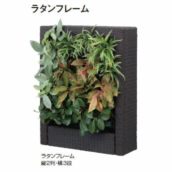 アートキャンバス インドアユニット ラタンフレームW620×D200×H790［タカショー 壁面緑化 瀧商店]