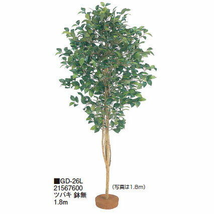 【室内用】鉢無 ツバキ 鉢無 1.8m(GD-26L 21567600)［タカショー 園芸用品 エクステリア 農機具 瀧商店]