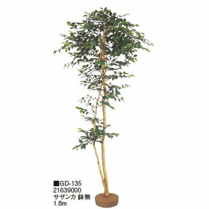 【室内用】鉢無 サザンカ 鉢無 1.8m(GD-135 21639000)［タカショー 園芸用品 エクステリア 農機具 瀧商店]