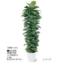 【室内用】観葉植物 ヘゴ付ポトス 1.5m(GD-09S 33367700)［タカショー 園芸用品 エクステリア 農機具 瀧商店]