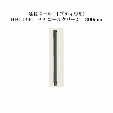 ローボルトライト 12V アップライト光学オプション 延長ポール (オプティ専用)(73893900 HEC-039C)チャコールグリーン 300mm[タカショー エクステリア 庭造り DIY 瀧商店]