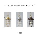 (10個セット) エクスレッズ ライティング 12Vマリンライト ローボルト ペンダントタイプ(HBF-D19S 73348400 パールシルバー/HBF-D1...
