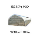 ワリフ 明涼30W 幅210cm×長100m 2.1×100m 遮光率30% 不織布 日新商事