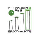 (200組セット) 黒丸君 (黒丸君板 4穴 緑 と スチール杭 足長30cm) ヘアピン杭 300mm 傘付 緑 (マルチ 防草シート 不織布の止め具) シー...