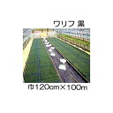 (5本セット特価) 日石 ワリフ HS-1200 黒 幅120cm×長100m 1.2×100m 遮光率50% 不織布 (日石ワリフ農業用) 日新商事 JX日鉱...