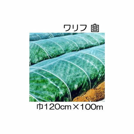 日石 ワリフ HS-1200 白 幅120cm 長100m 1.2 100m 日新商事 JX日鉱日石エネルギー 遮光率5％ 不織布