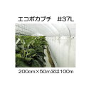 (個人様配送不可) ハウス保温内張り材 エコポカプチ #37L 幅200cm 長さ50mを2巻 または100mを1巻選択 川上産業