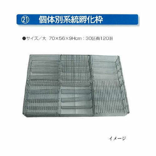 [育雛用品 フランキ部品] 個体別系統孵化枠 (大) 30区画120羽用［フランキ 孵卵器 孵化器 養鶏 瀧商店 昭和フランキ］