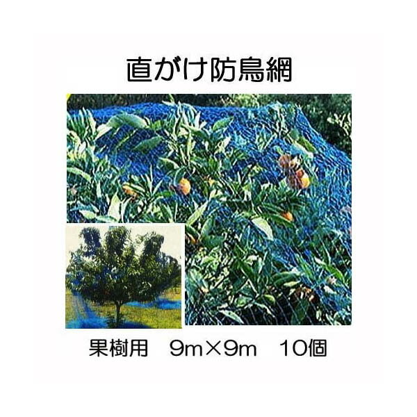 (徳用10個セット特価) 果樹用 直がけ防鳥網 1000d 20mm目 9m×9m 強力防鳥網【果樹すっぽり防鳥ネット】zmzs