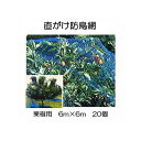 (20個セット特価) 果樹用 直がけ防鳥網 6m×6m 20mm目 1000d (果樹すっぽり防鳥ネット) zm