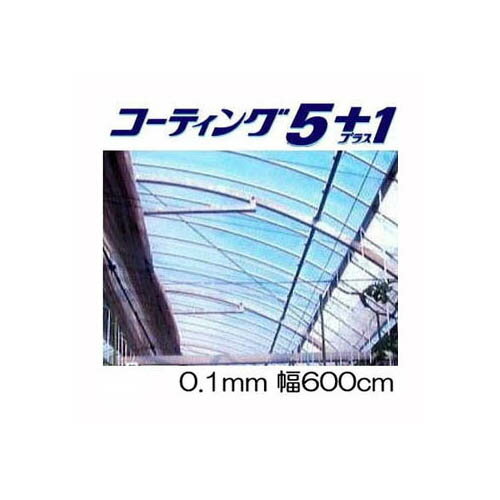 【カット販売】 農POフィルム コーティング5＋1UV プラス1UV 厚み0.1mm 幅600cm 長さ30m以上フリーカット タキロン …