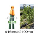 (法人限定) つるもの用 棚支柱16×2100mm 25組【エクステリア 農機具 瀧商店】