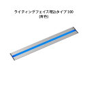 屋外用部材 ライト デコレーションライト 12Vライティングフェイス埋込タイプ 300(HAC-B26S 75401400) シルバー 青色(タカショー エクス...