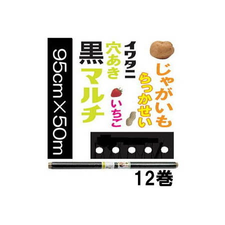 (12巻セット特価) イワタニ 菜園 じゃがいも用 穴あき黒マルチ 0.02mm×95cm×50m 