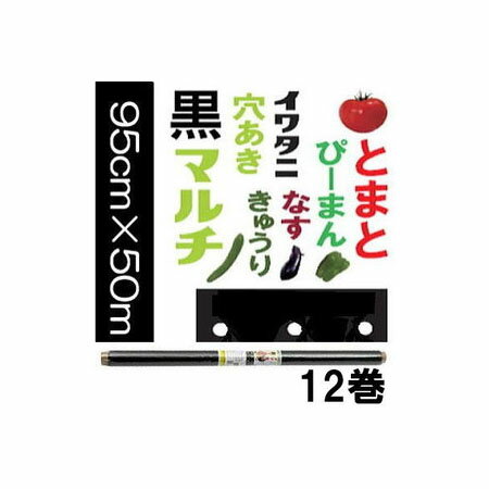 (12巻セット特価) イワタニ 菜園 トマト用 穴あき黒マルチ 0.02mm×95cm×50m 91