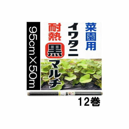 法人or営業所引取 12巻セット イワタニ 菜園用 耐熱 黒マルチ 0.02mm 95cm 50m 岩谷マテリアル