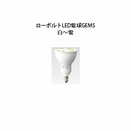 ガーデンエネルギー マネージメント システム GEMS用交換電球 ローボルトLED電球GEMS 白〜電 HIC-C20N 75909500[タカショー エクステリア 庭造り DIY 瀧商店]