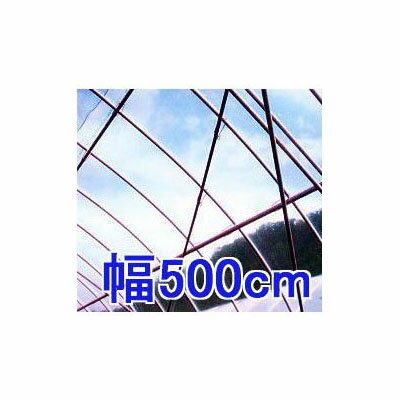 カット販売 30m以上フリーカット 塗布無滴 農POフィルム イースター 厚み0.1mm×幅500cm×長さ30m 重さ約14.3kg MKVアドバンス
