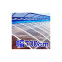 カット販売 塗布無滴 農POフィルム イースター 厚み0.1mm×幅700cm×長さ30m 重さ約20kg MKVアドバンス