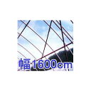 カット販売 塗布無滴 農POフィルム イースター 厚み0.1mm×幅1600cm×長さ30m 重さ約45.6kg 中接加工 (法人限定) MKVアドバンス