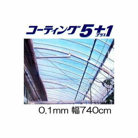 カット販売 農POフィルム コーティング5＋1UV プラス1UV厚み0.1mm 幅740cm 長さ30m＋切売り タキロン シーアイ ［農POフィルム］